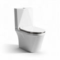 Toilette suspendue en céramique blanche dimensions 70 x 40 x 40 cm